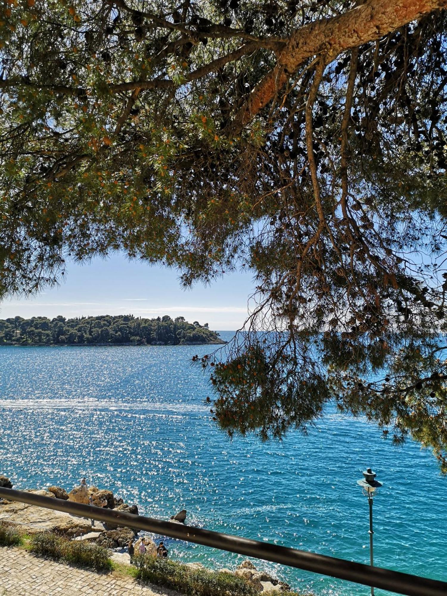 Apartment Michaela 4-Sterne & Parking Rovinj Eksteriør bilde